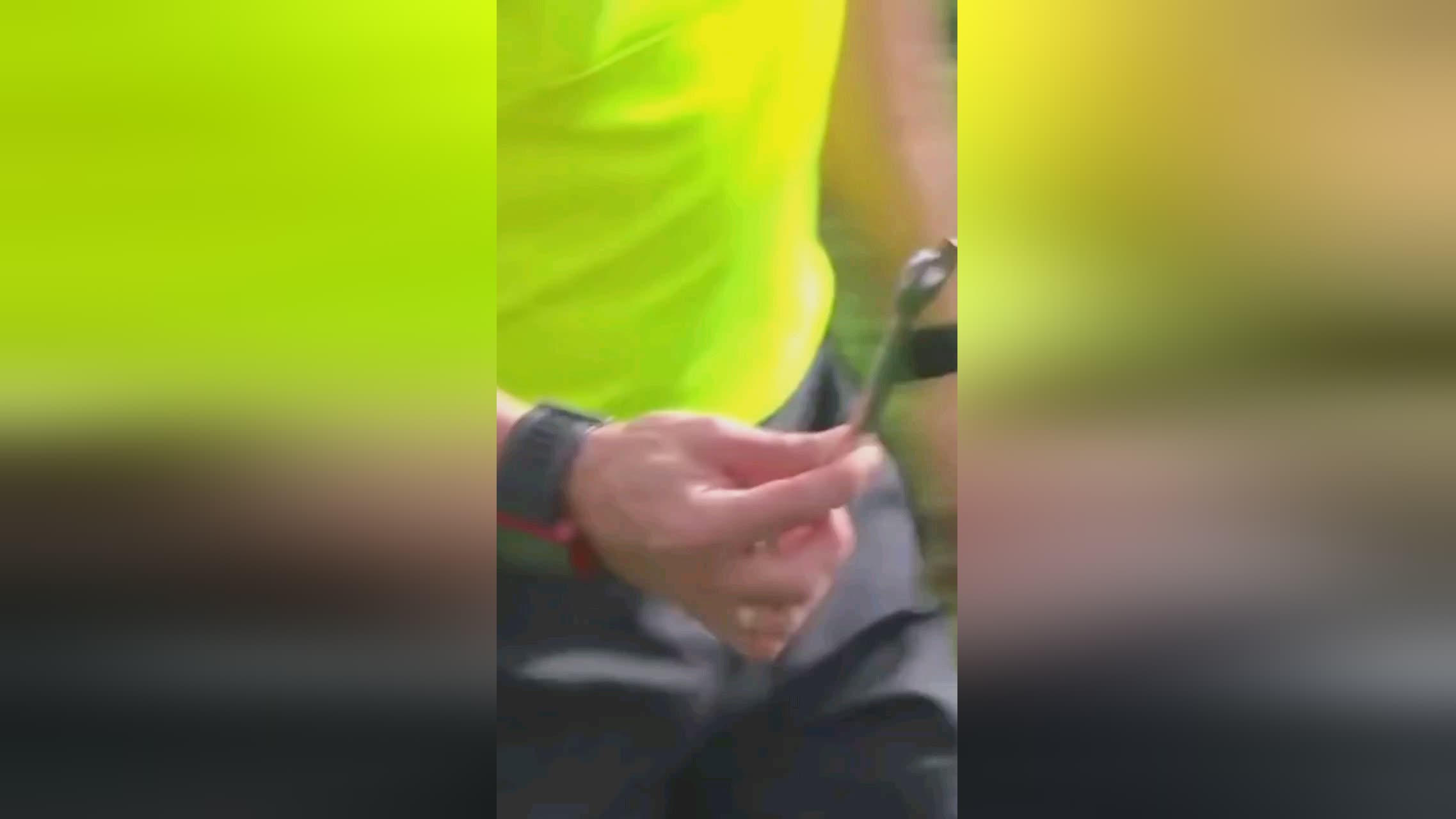 欧洲冠军